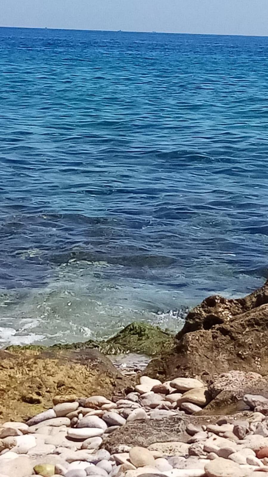 La Trinacria Mare Daire Palermo Dış mekan fotoğraf